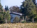 IMG_4101