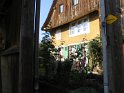 IMG_4135