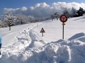IMG_4514