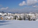 IMG_4519