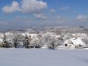 IMG_4520