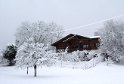 IMG_0070