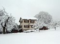 IMG_0071