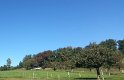 20161016_ (20)