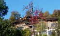 20161016_ (9)