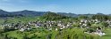 am 30. April 2024 
das neue Laub der  Bäume und das frische Gras  