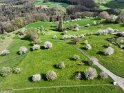 Kirschbaumblust