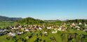 Das frische grün der Wälder